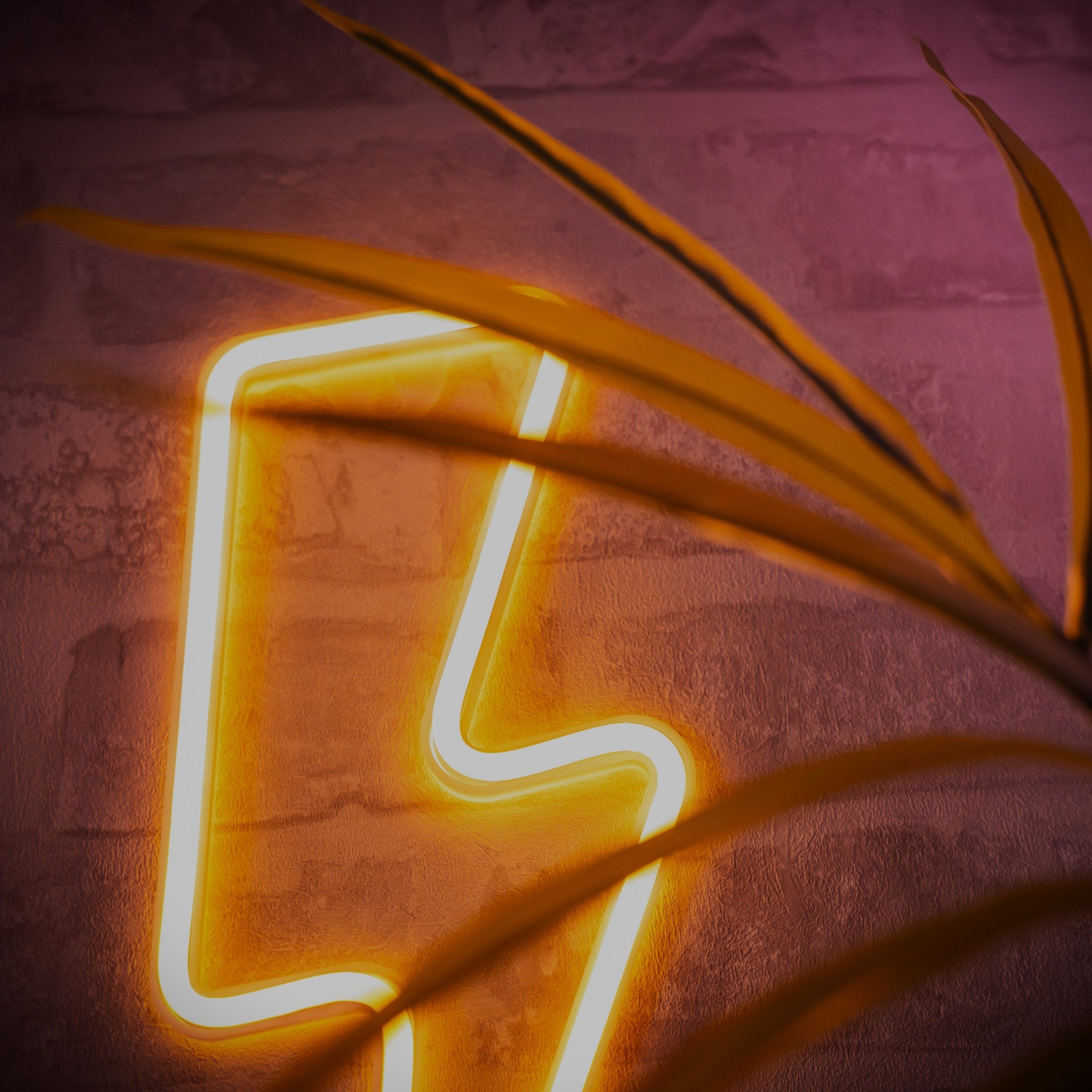 Neonlichter mit Bild - Official Neon - Neon Schild Schriftzug personalisiert