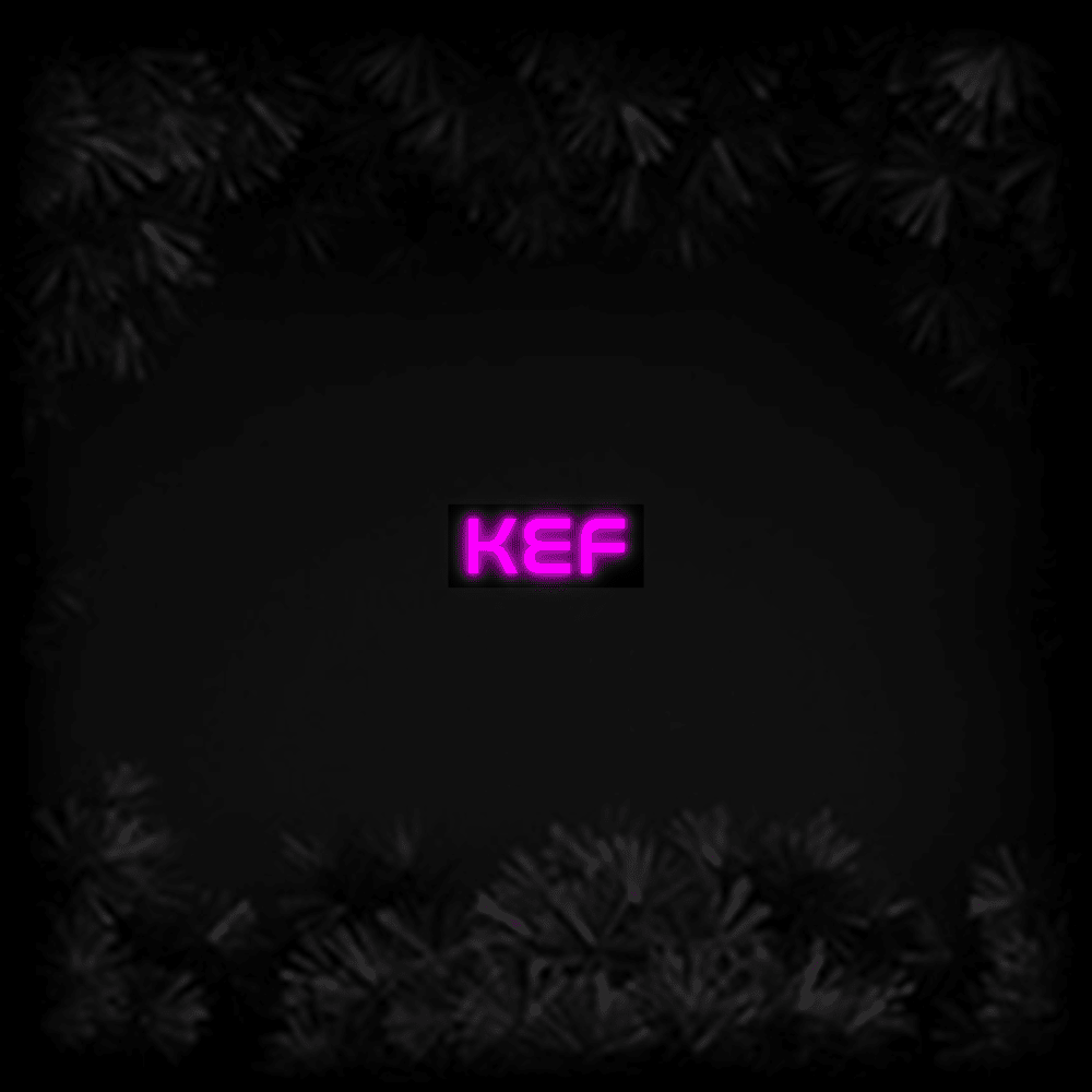 Konfiguriertes LED-Neonschild: KEF - Official Neon - led neon schild schriftzug personalisiert