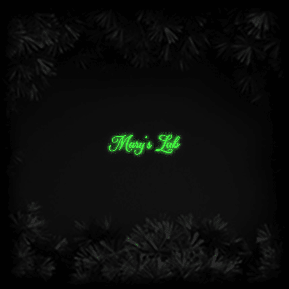 Konfiguriertes LED - Neonschild: Mary‘s Lab - Official Neon - led neon schild schriftzug personalisiert