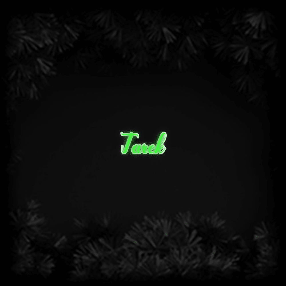 Konfiguriertes LED-Neonschild: Tarek - Official Neon - led neon schild schriftzug personalisiert