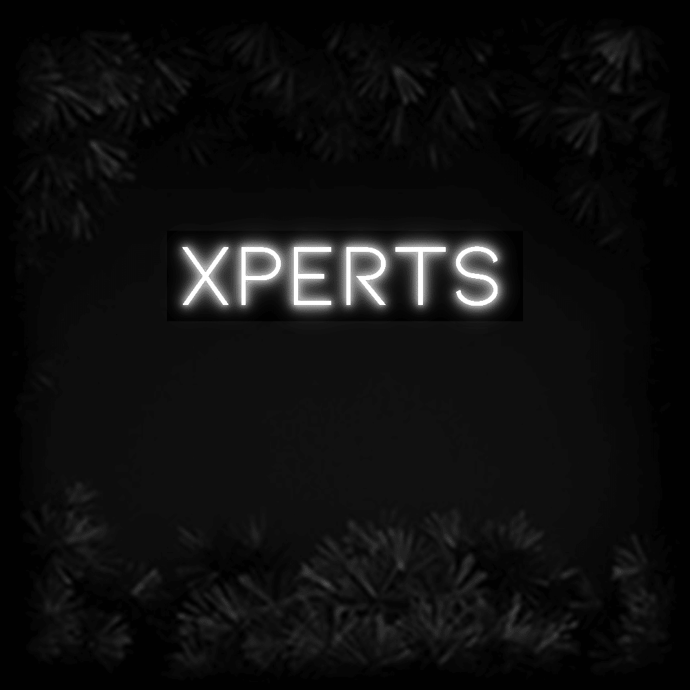 Konfiguriertes LED-Neonschild: XPERTS - Official Neon - led neon schild schriftzug personalisiert