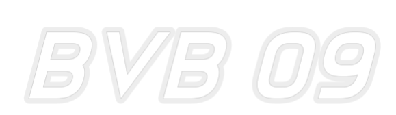 Konfiguriertes Neonschild: BVB 09 - Official Neon - led neon schild schriftzug personalisiert