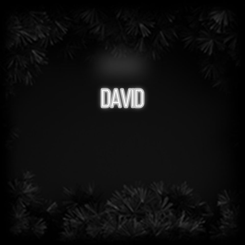 Konfiguriertes Neonschild: David - Official Neon - led neon schild schriftzug personalisiert