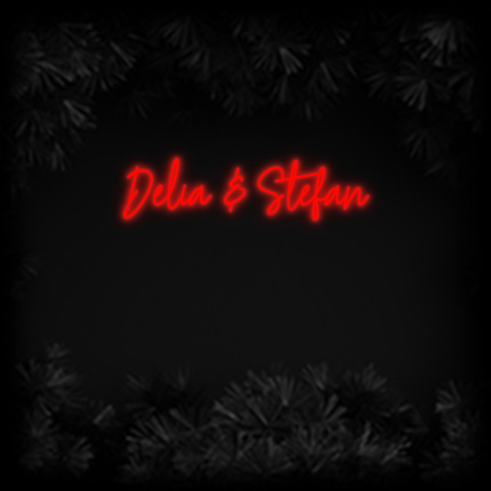 Konfiguriertes Neonschild: Delia & Stefan - Official Neon - led neon schild schriftzug personalisiert