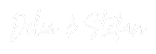 Konfiguriertes Neonschild: Delia & Stefan - Official Neon - led neon schild schriftzug personalisiert