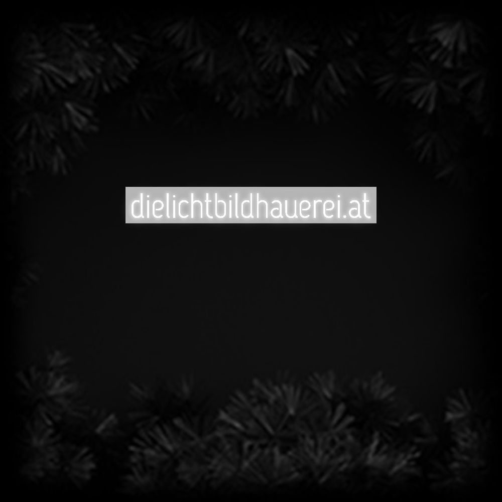 Konfiguriertes Neonschild: dielichtbildh... - Official Neon - led neon schild schriftzug personalisiert