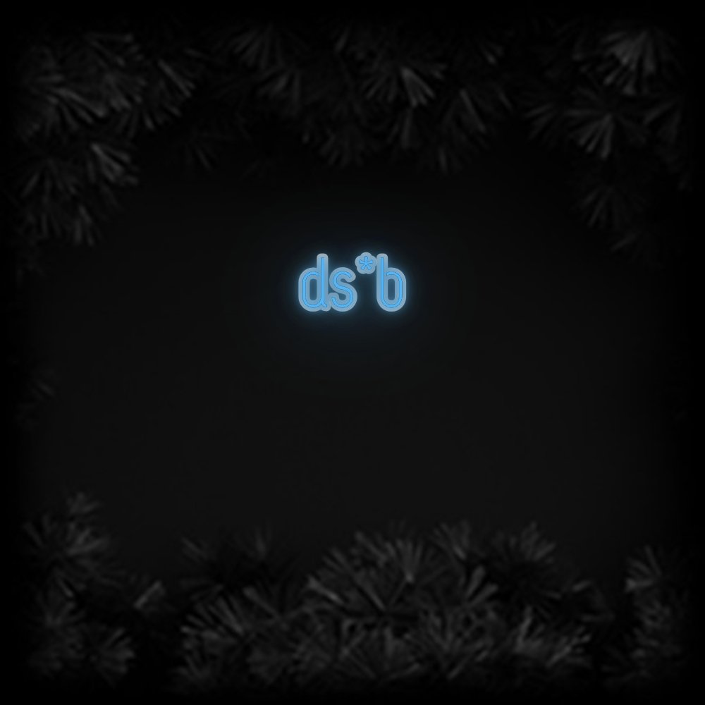 Konfiguriertes Neonschild: ds*b - Official Neon - led neon schild schriftzug personalisiert