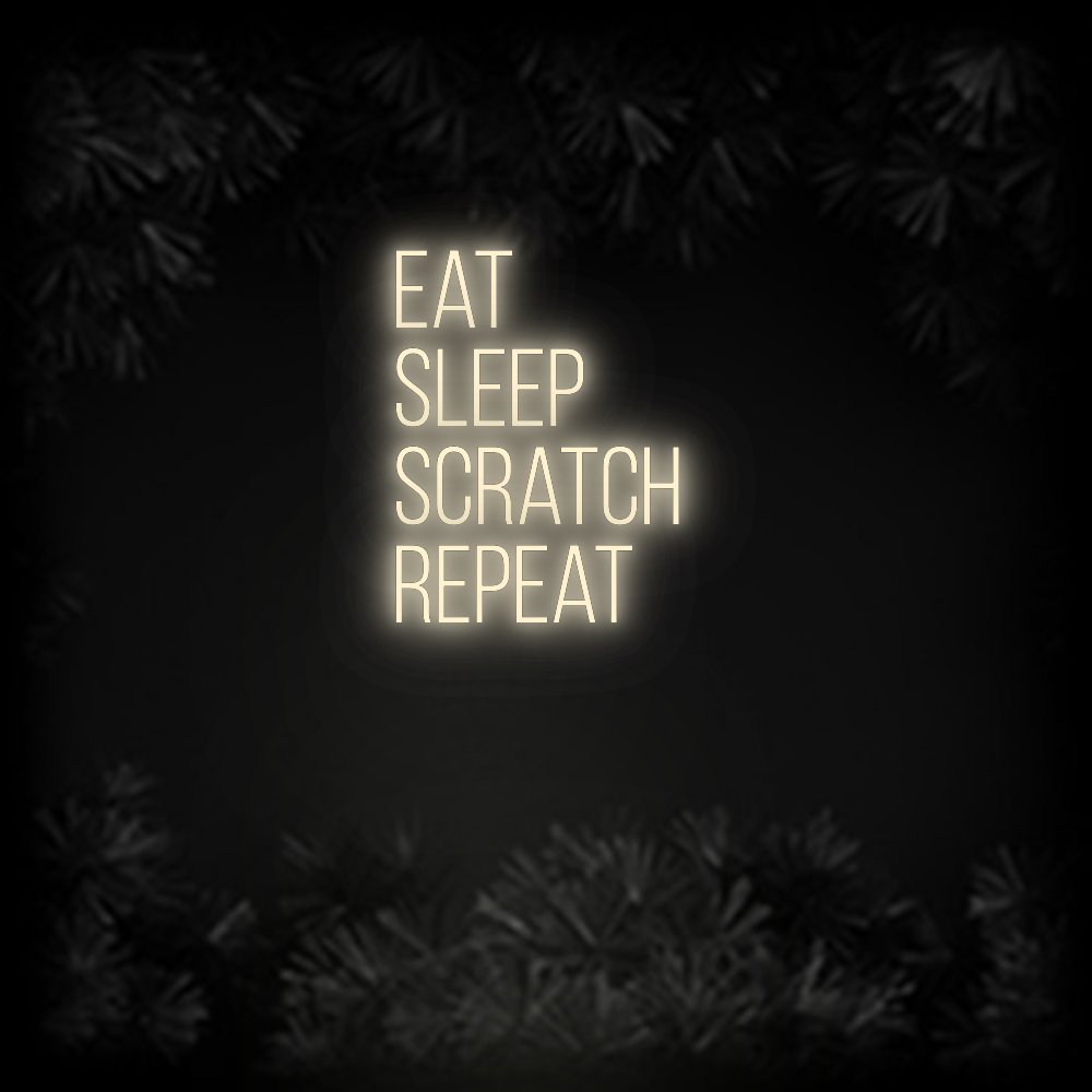Konfiguriertes Neonschild: Eat Sleep ... - Official Neon - led neon schild schriftzug personalisiert