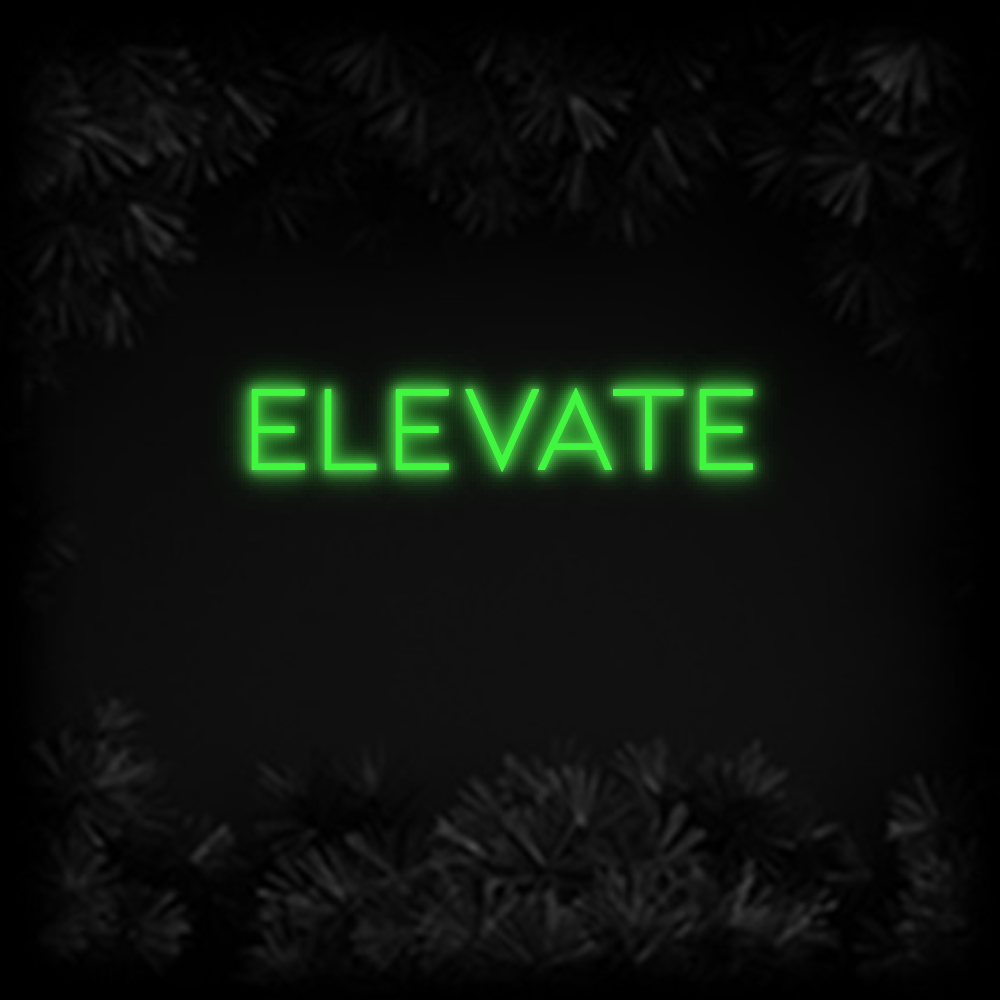 Konfiguriertes Neonschild: ELEVATE - Official Neon - led neon schild schriftzug personalisiert