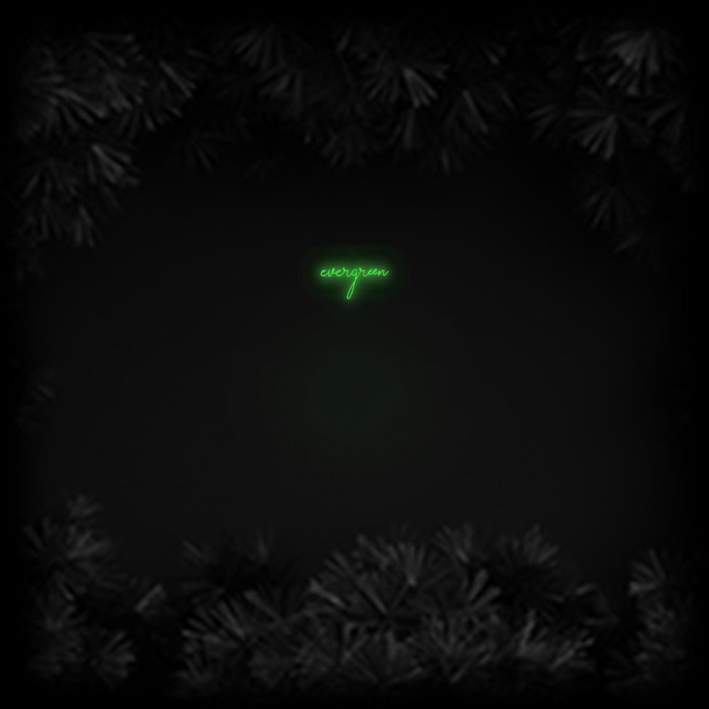 Konfiguriertes Neonschild: evergreen - Official Neon - led neon schild schriftzug personalisiert