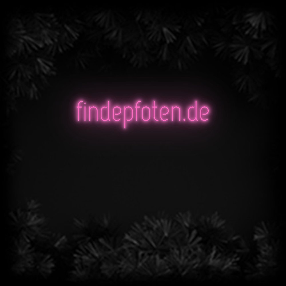 Konfiguriertes Neonschild: findepfoten.de - Official Neon - led neon schild schriftzug personalisiert