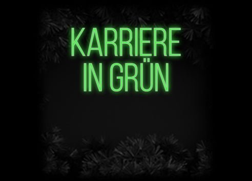 Konfiguriertes Neonschild: Karriere in ... - Official Neon - led neon schild schriftzug personalisiert