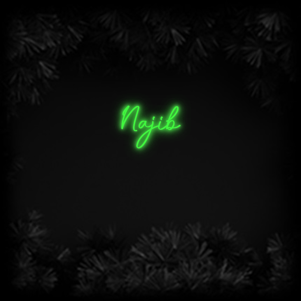 Konfiguriertes Neonschild: Najib - Official Neon - led neon schild schriftzug personalisiert