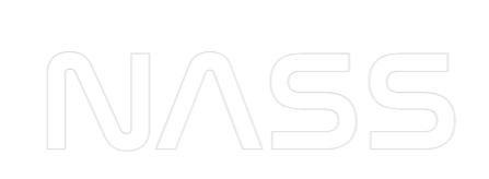 Konfiguriertes Neonschild: NASS - Official Neon - led neon schild schriftzug personalisiert