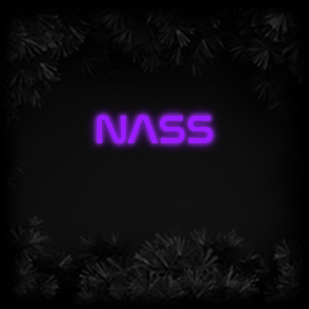 Konfiguriertes Neonschild: NASS - Official Neon - led neon schild schriftzug personalisiert