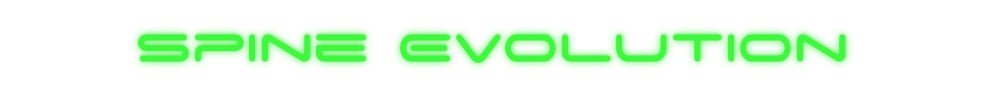 Konfiguriertes Neonschild: Spine Evoluti... - Official Neon - led neon schild schriftzug personalisiert