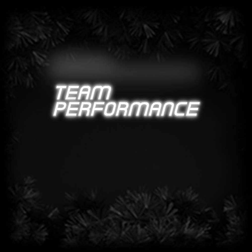 Konfiguriertes Neonschild: TEAM PERFORM... - Official Neon - led neon schild schriftzug personalisiert