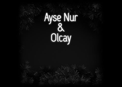 Konfiguriertes Neonschild: Ayse Nur & ... - Official Neon - led neon schild schriftzug personalisiert