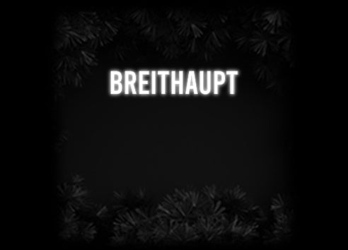 Konfiguriertes Neonschild: BREITHAUPT - Official Neon - led neon schild schriftzug personalisiert