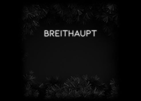 Konfiguriertes Neonschild: BREITHAUPT - Official Neon - led neon schild schriftzug personalisiert