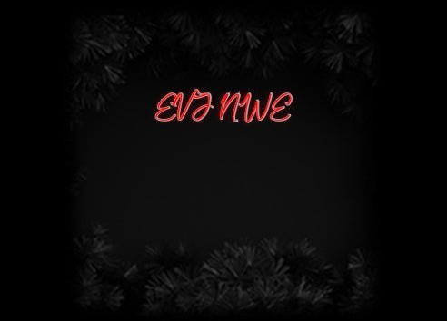 Konfiguriertes Neonschild: EVJ NWE - Official Neon - led neon schild schriftzug personalisiert