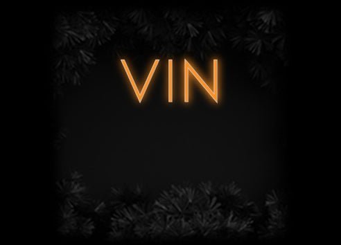 Konfiguriertes Neonschild: VIN - Official Neon - led neon schild schriftzug personalisiert